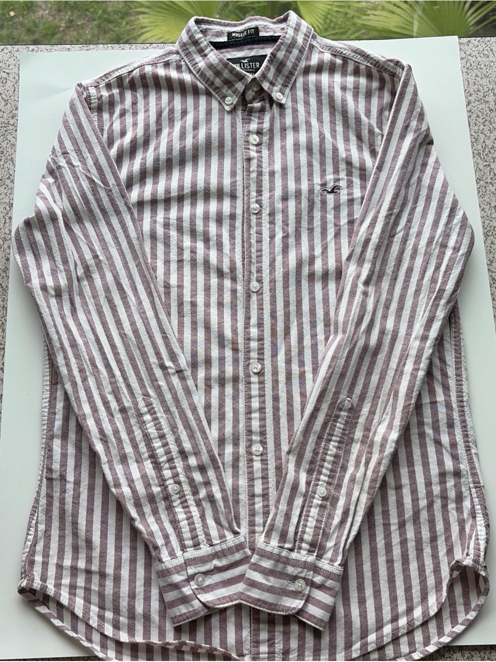 Hollister Men's Long-Sleeve Button-Down Shirt in White & Brown Stripes